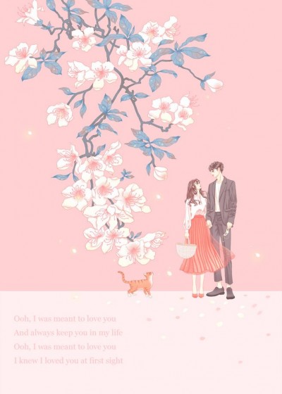 ����ǰ�ޣ����������������